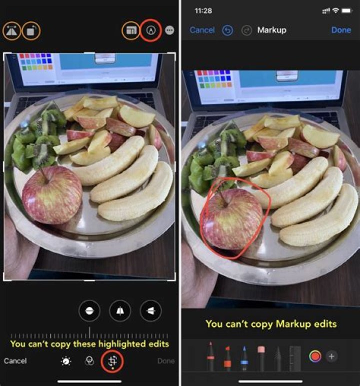 How to Copy and Paste Pictures On iPhone: A Step by Step Guide