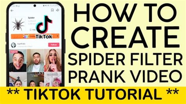 How to do the hilarious spider filter prank that has taken over social media