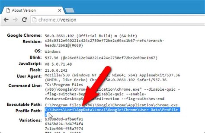 How to Find Your Chrome Profile Folder on Windows, Mac, and Linux