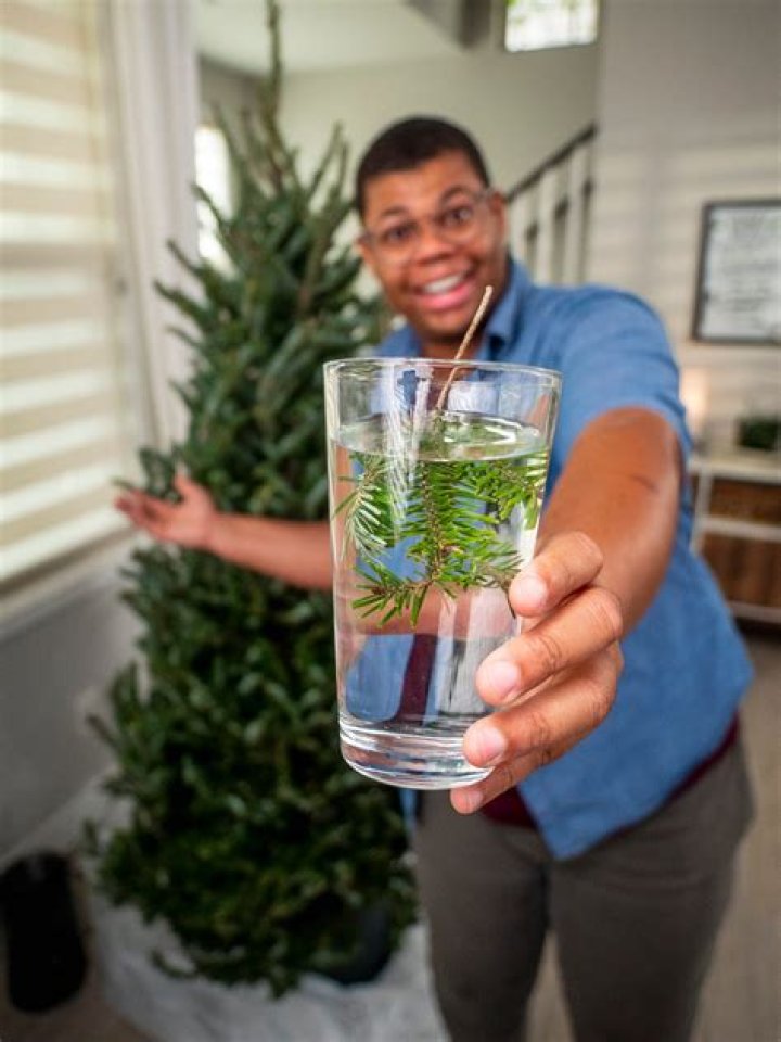 How to keep your christmas tree fresh longer