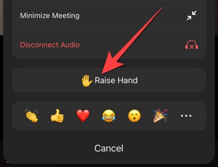 How to Raise Your Hand in a Zoom Meeting