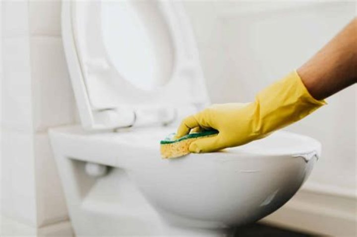 How To Remove Toilet Bowl Stains of Any Color