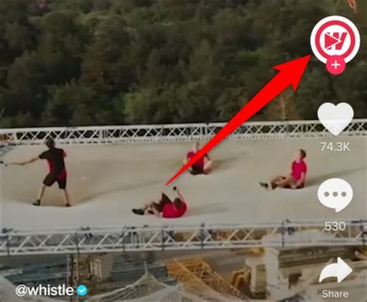 How to report videos accounts and comments on tiktok