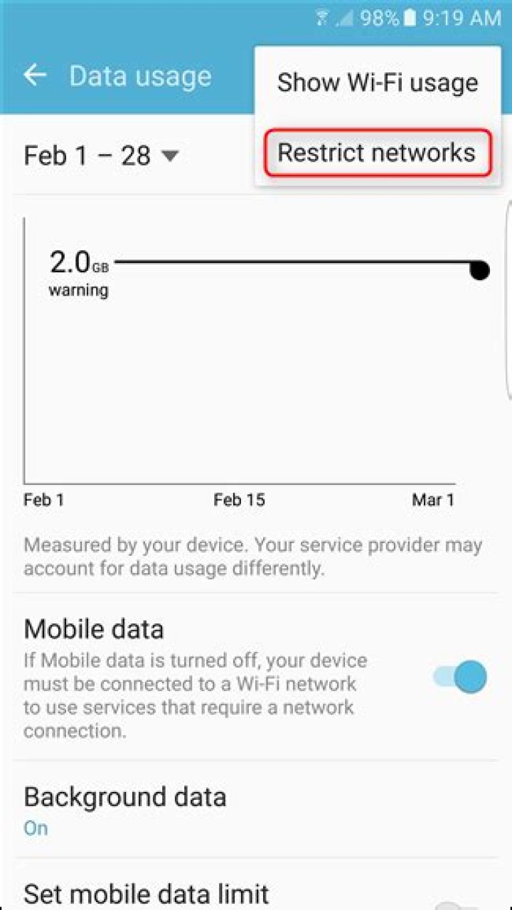 How to restrict background data for metered wi-fi networks on android
