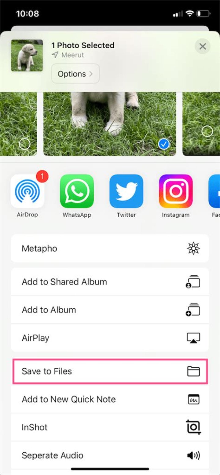 How to share a live photo as a gif to twitter from your iphone or ipad