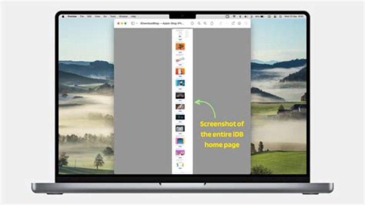 How to take a screenshot of an entire webpage