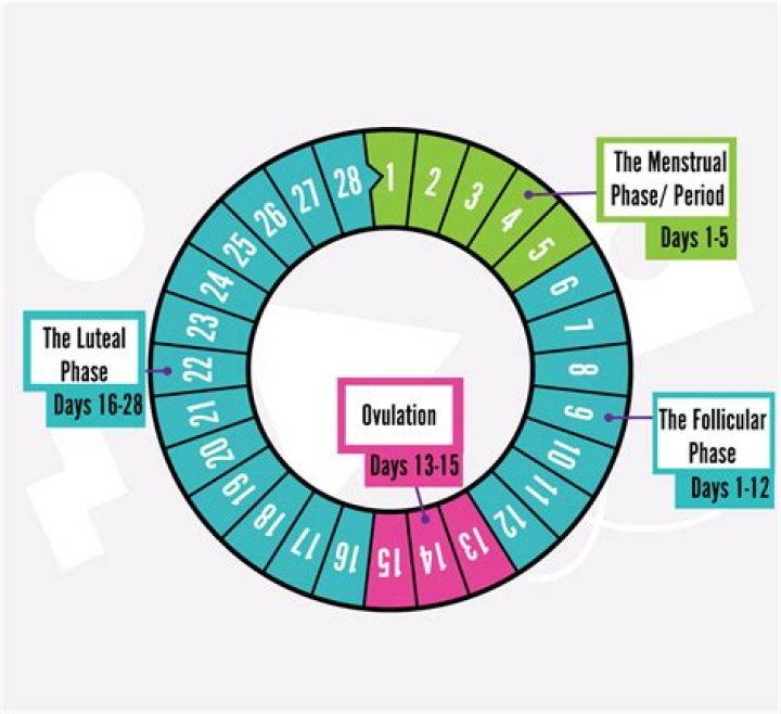 How To Track Your Menstrual Cycle If You Don't Have Periods & Need Emergency Contraception