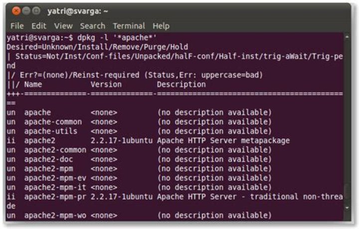 How to use apt-get to install programs in ubuntu from the command line