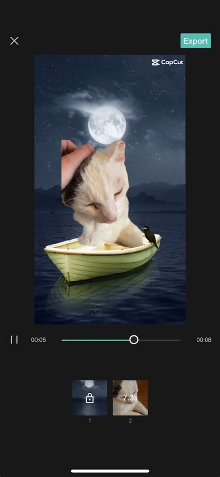 How To Use The CapCut Feature On TikTok
