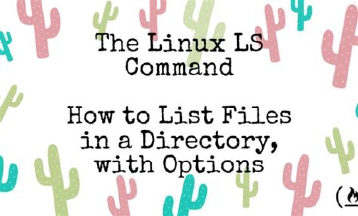How to use the ls command to list files and directories on linux