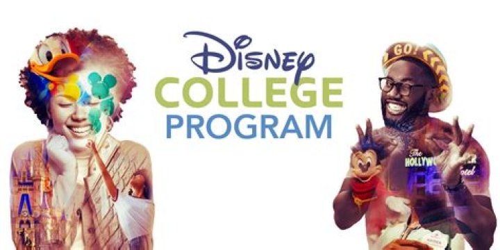 How to write a disney college program blog