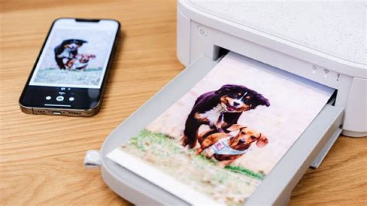 HP Sprocket Studio Plus Photo Printer Review: Poor Color Matching Mars a Decent Printer
