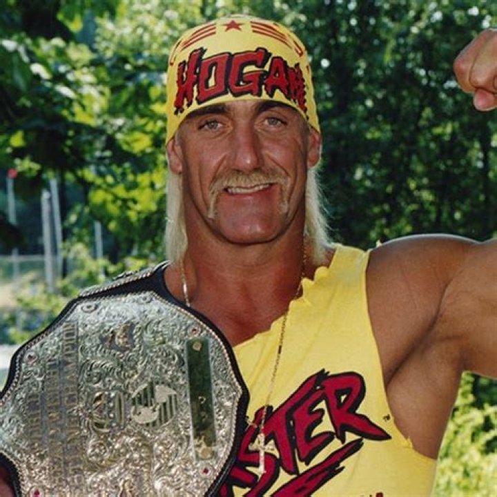 Hulk Hogan - Age, Career & Facts