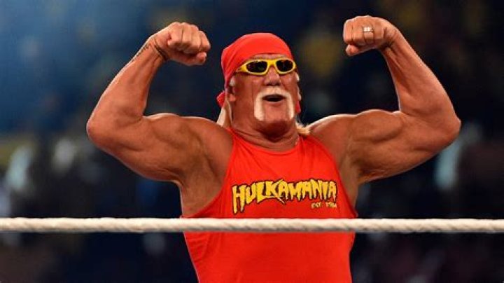 Hulk Hogan is the most underrated wrestler of all time