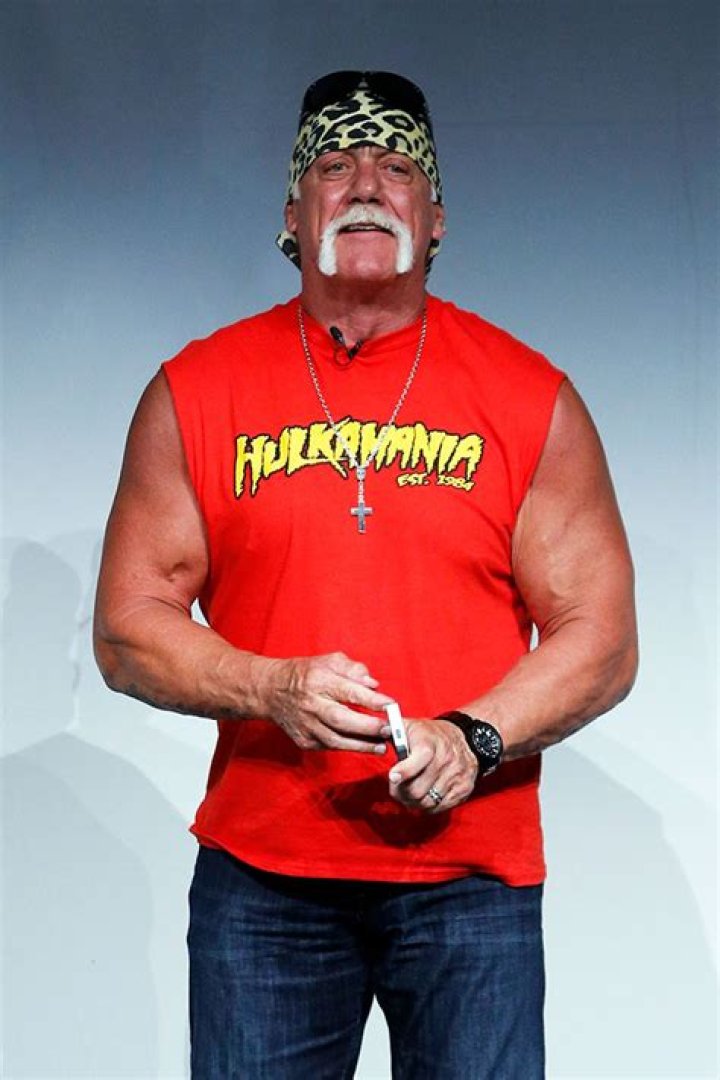Hulk Hogan Net Worth 2024