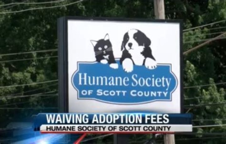 Humane Society’s Davenport shelter at ‘crisis capacity’ – waives adoption fees