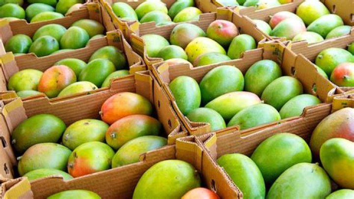 Hy-Vee giving away 7,200 mangoes in Muscatine this Wednesday