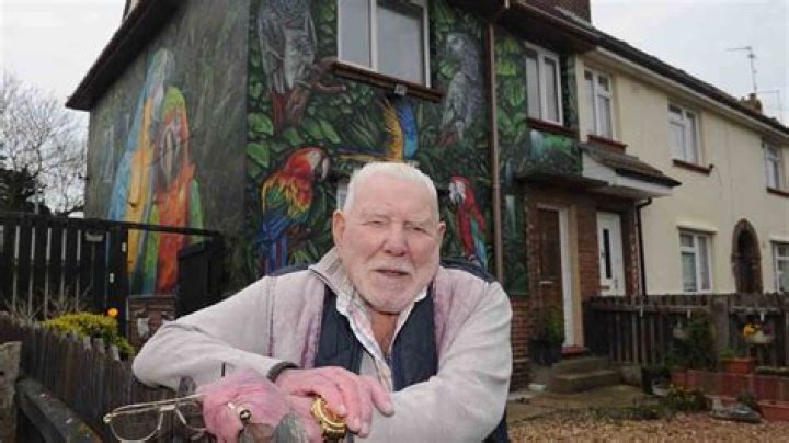 I love parrots so much I had my house covered in a huge mural of them… neighbours call me ‘the bird man'
