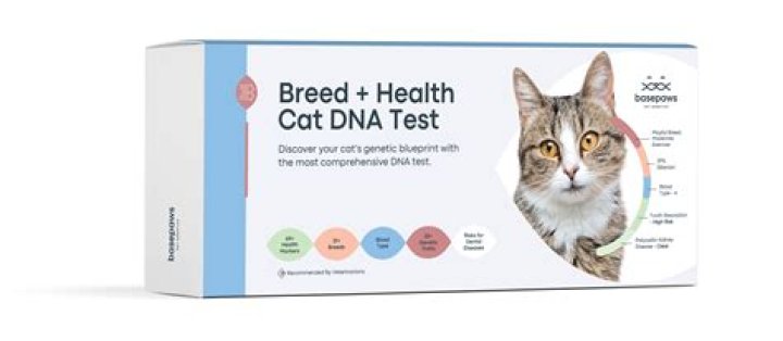 I Tried a Cat DNA Test: Here's What Happened