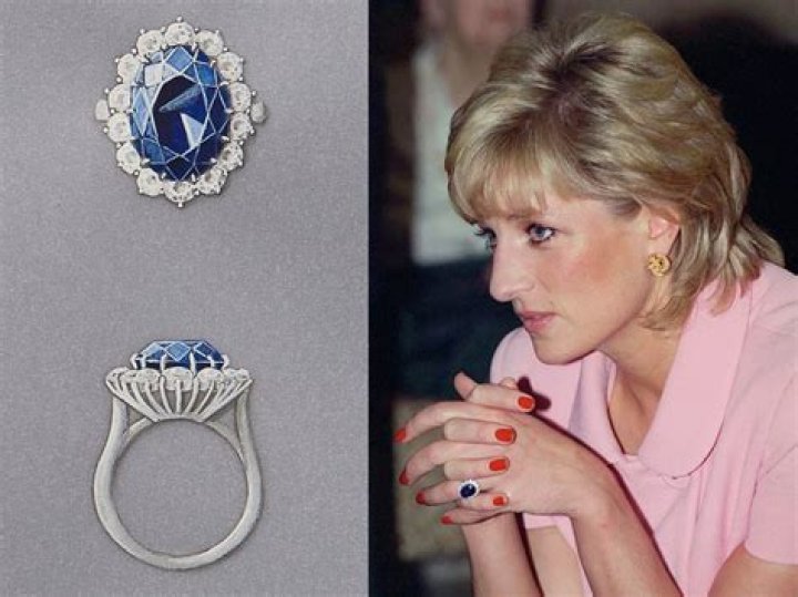 I was Princess Diana's 'Rambo' bodyguard - she would still be here if I'd been on duty on night she died in Paris