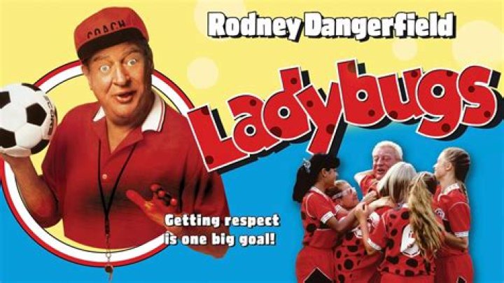 I Watched 1992's 'Ladybugs' As an Adult & Was Pretty Shocked By Its Sexism