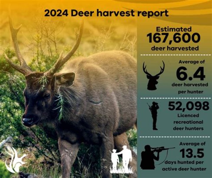 Illinois hunters harvest more deer than they did in 2022