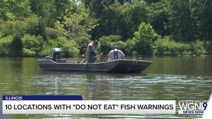 Illinois officials: ‘Do not eat’ these fish from these 10 bodies of water in the state