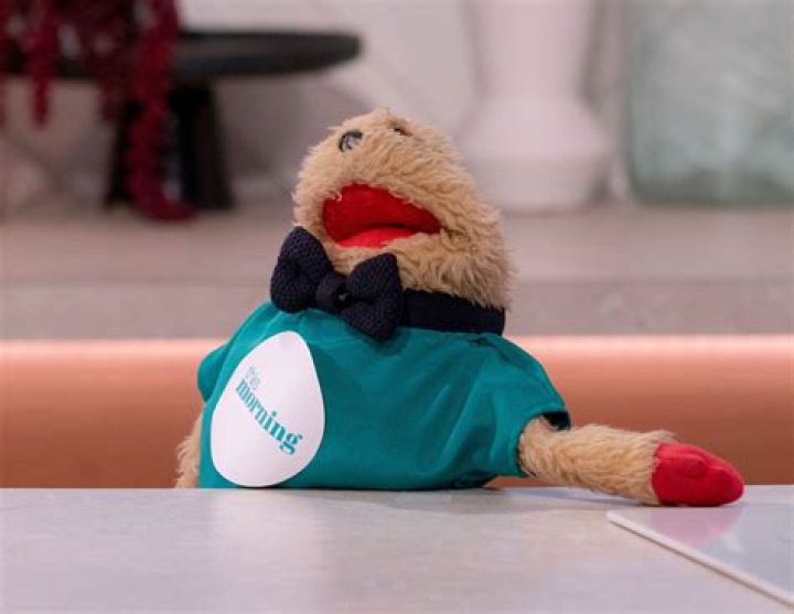 Inside Phillip Schofield's TV career from Gordon the Gopher to quitting This Morning
