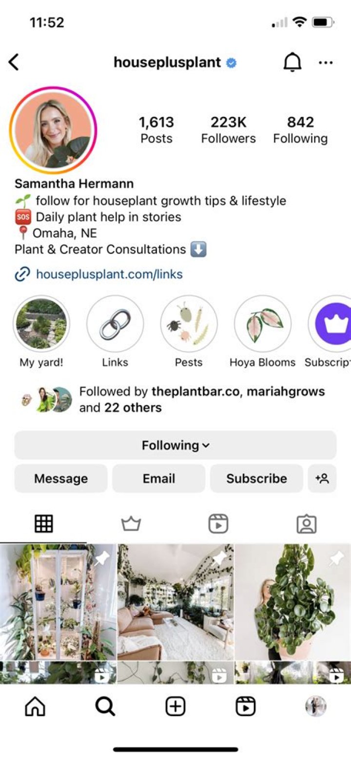 Instagram, Partner & What To know