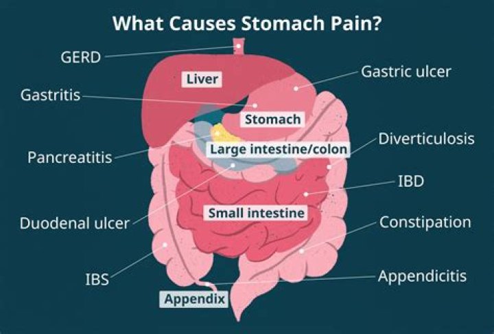 Intestinal Parasites Cause of Stomach Pain and Gastrointestinal Problems