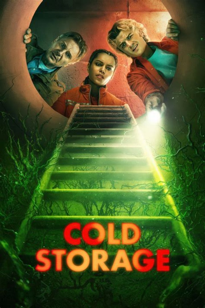 Into the Cold Poster Released