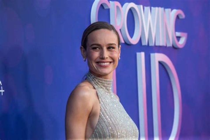 Is Brie Larson A Gay?