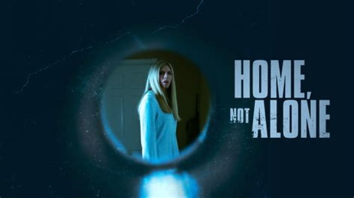 Is Lifetime’s Home, Not Alone Based on a True Story?