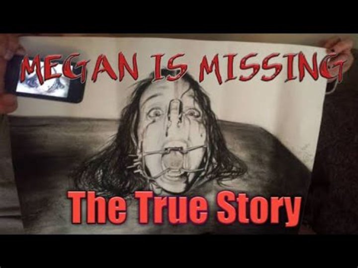 Is ‘Megan Is Missing’ Based On A True Story?