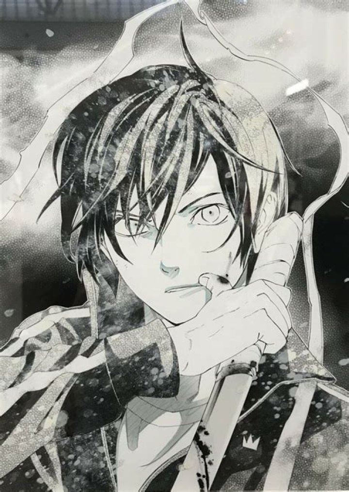 Is Noragami Manga Finished? Explained