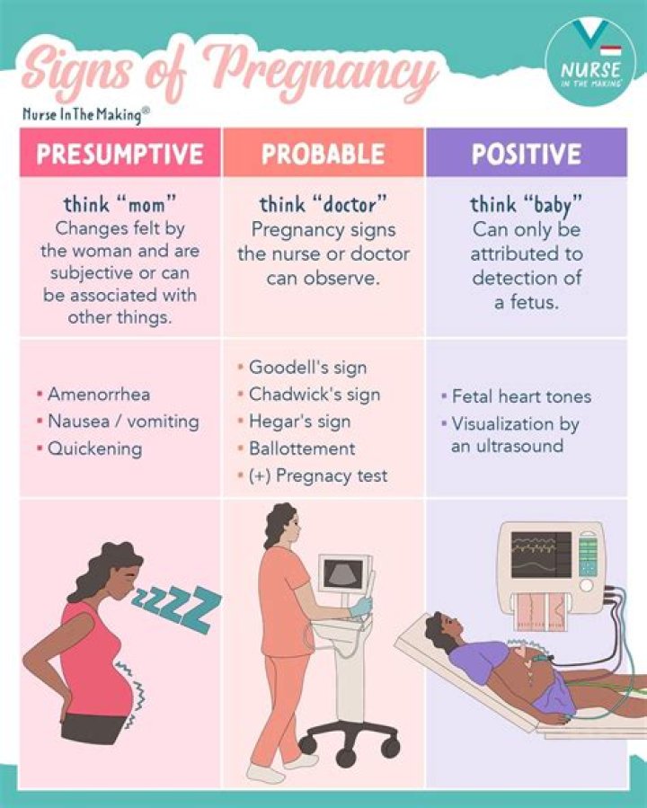 Is Rana Novini Pregnant? Possible Pregnancy and the Speculations That Have Swept Across Social Media Platforms!