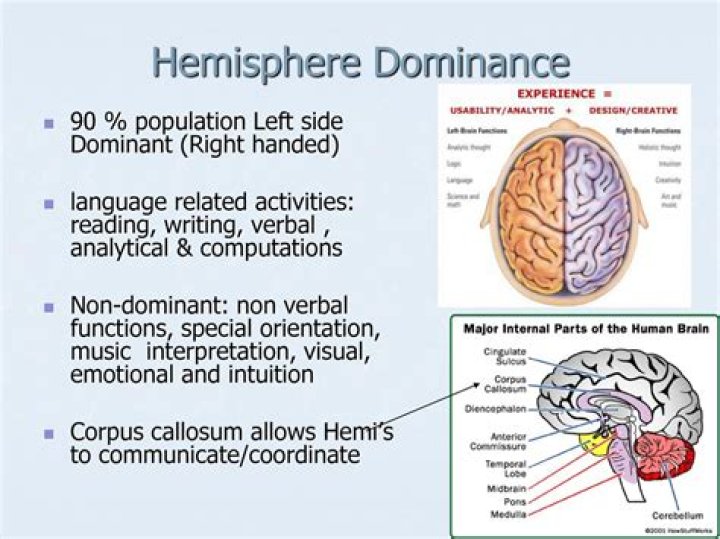 Is the dominant hand a good indicator of the dominant hemisphere