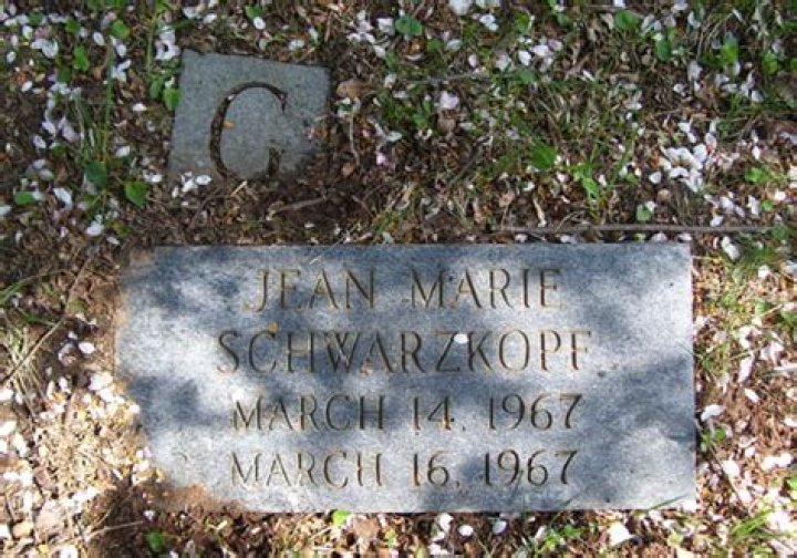 Jean Schwarzkopf Murder: Where Are Anthony Carcione and Ottavio Volpe Now?