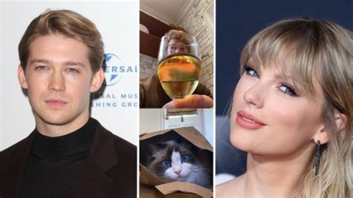 Joe Alwyn posts photos of Taylor Swift’s cat and fans think it’s proof they’re quarantining together