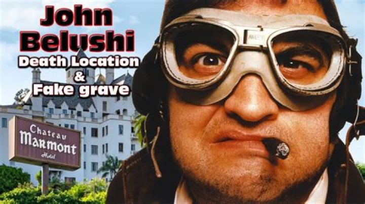 John Belushi - Death, Animal House & Movies