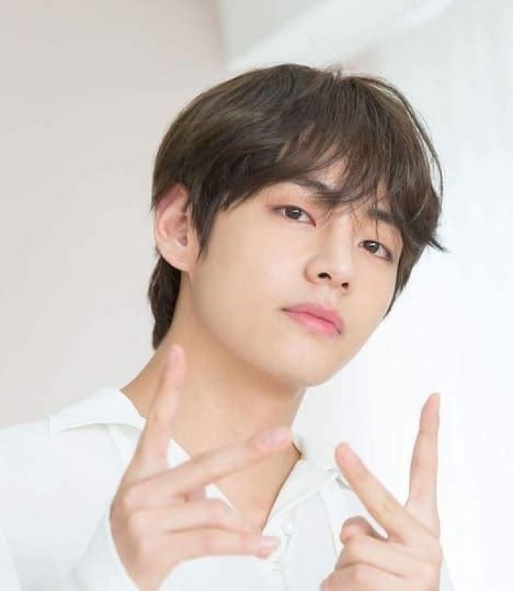 Kim Taehyung: Wiki (V BTS), Bio, Age, Height, Family, Girlfriend, Net Worth