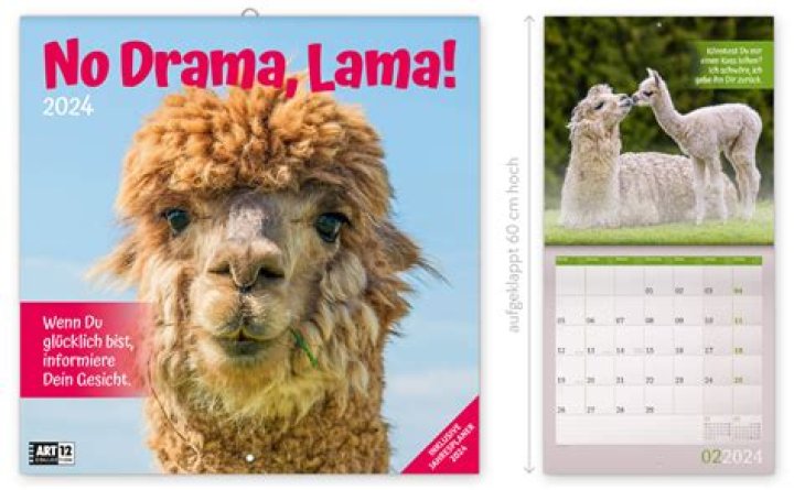 ما معنى اسم لمى Lama في اللغة العربية وأبرز صفاتها الشخصية – تريندات 2024
