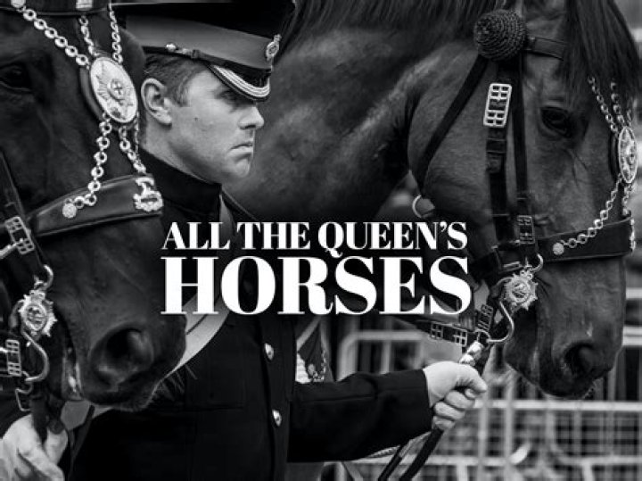 Linda Cook review: ‘All the Queen’s Horses’ documentary tells Rita Crundwell story