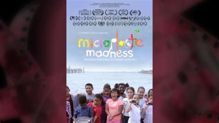 Linda Cook review: Observe Earth Day with ‘Microplastic Madness’ – and take your kids