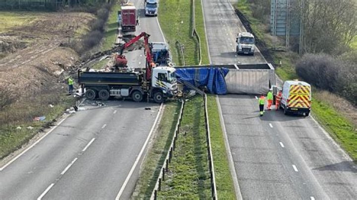 Lorry driver arrested after 15 stowaways including family-of-five are found hiding in FRUIT PALLETS at London market