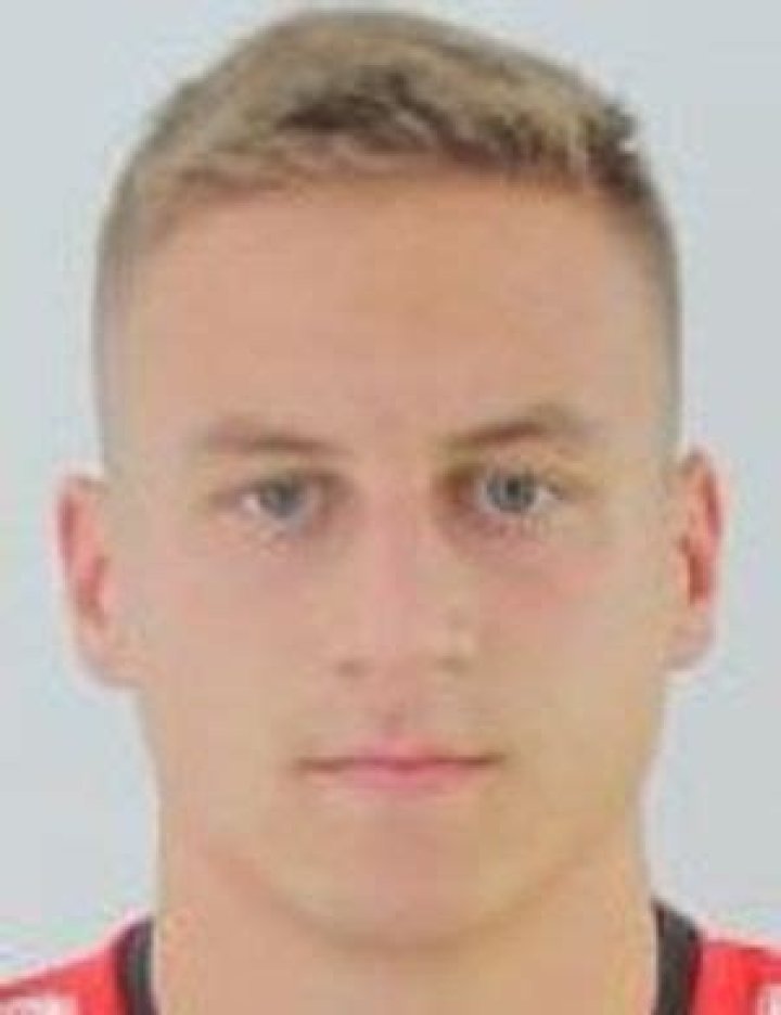 Luka Milovanovic - Player profile