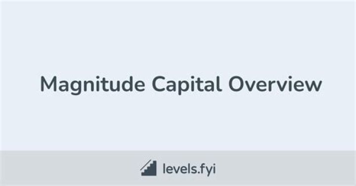 
Magnitude Capital, LLC (New York)
