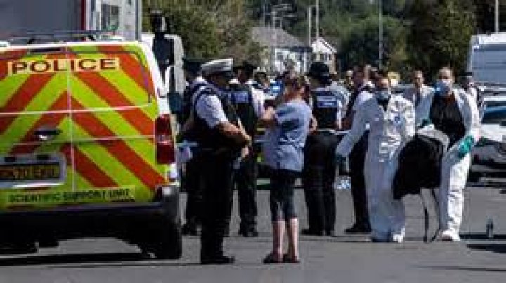 Man in his 60s is stabbed to death in Wembley as cops arrest suspect, 45, on suspicion of murder