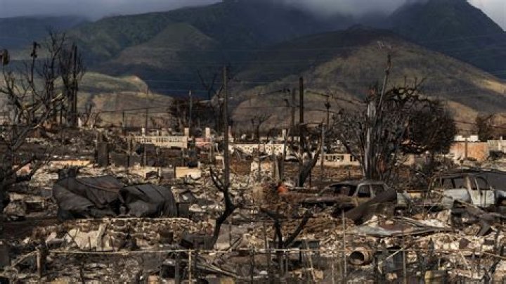 Maui officials aim to accelerate processing of permits to help Lahaina rebuild