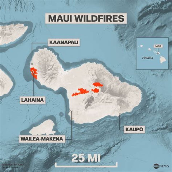 Maui wildfire conspiracy sparks alarm as book ‘Unforgiving Flames The Hawaiian Wildfires’ published 2 days after fires began